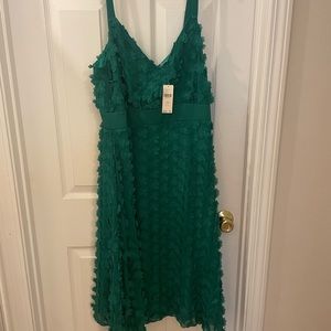 Eva Franco for Anthropology beautiful green dress